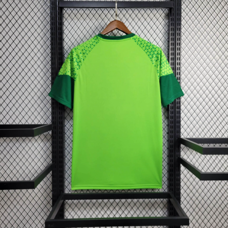 Jersey 24∕25 Palmeiras Treino