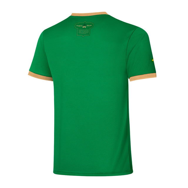Jersey Palmeiras Edição Comemorativa 70 Anos Puma - Verde