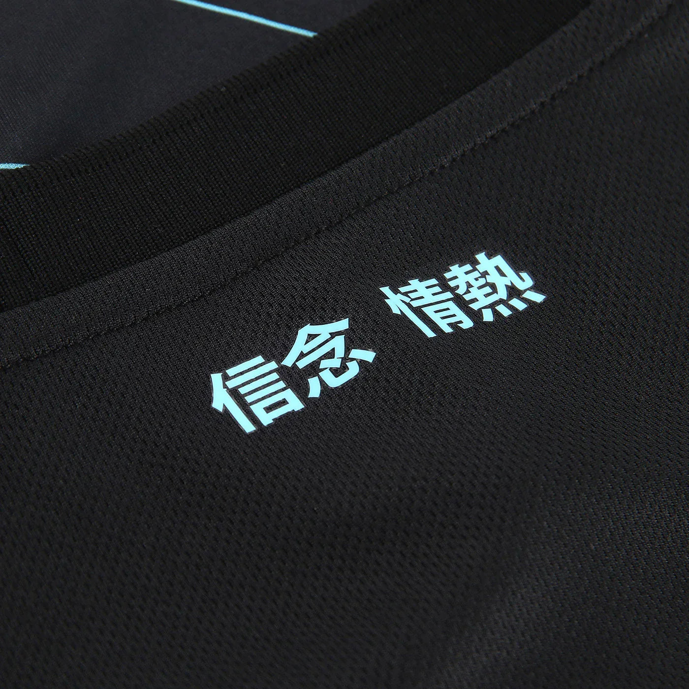 Jersey Lazio 24/25 Third